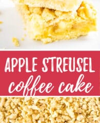 Apple Streusel Sheet Cake is so easy to make from scratch and tastes amazing! A simple but so flavorful German apple cake that's topped with the most delicious cookie-like streusel.