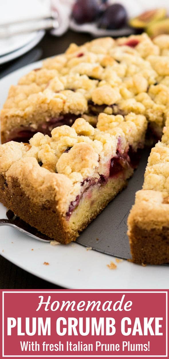 Close up of a slice being lifted out from a plum cake with streusel topping by a cake server.