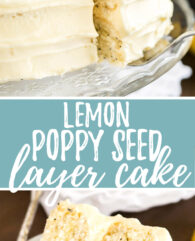 A dreamy Lemon Poppy Seed Cake that's laced with flecks of poppy seeds and topped with a lemon curd buttercream. This lemon layer cake is one of my favorite cakes for spring and summer!