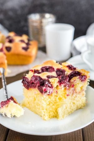 Cherry Cake with sour cherries and vanilla is a simple snack cake that tastes delicious and is so easy to make in less than 10 minutes. Perfect for surprise guests and evening sweet tooth cravings!