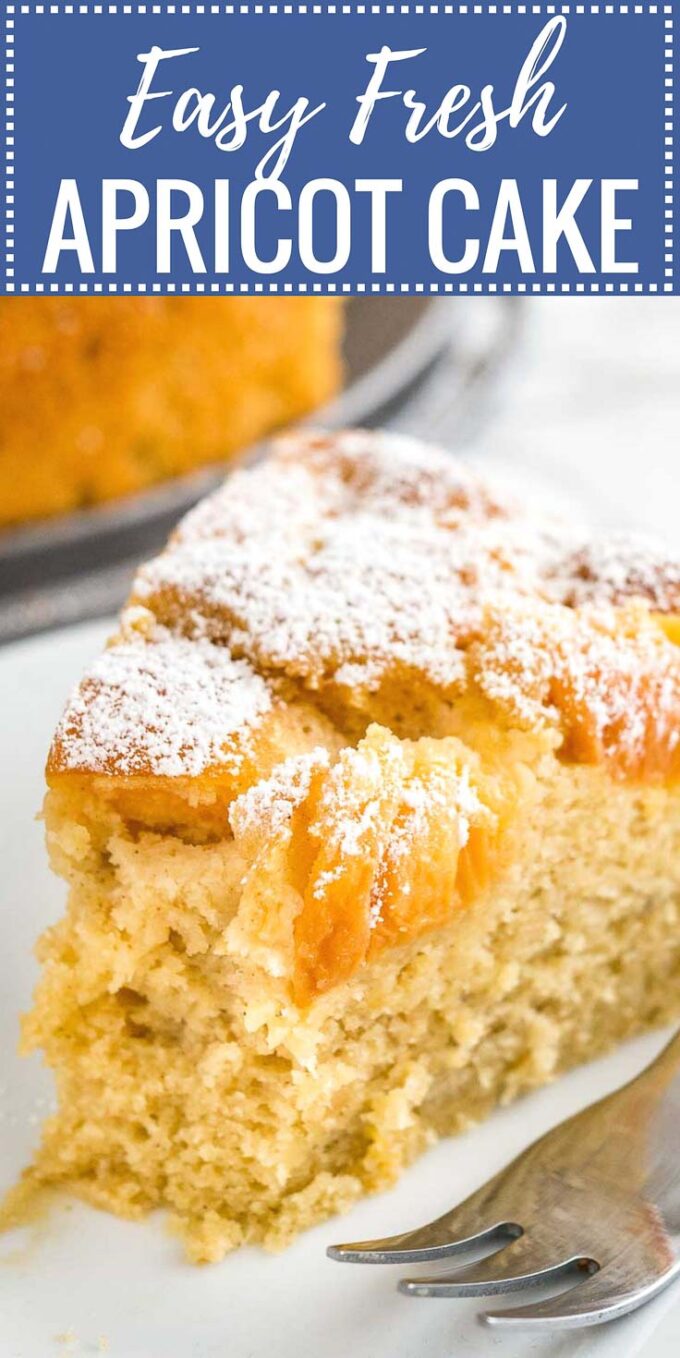 Apricot Cake Recipe with Fresh Apricots | Plated Cravings