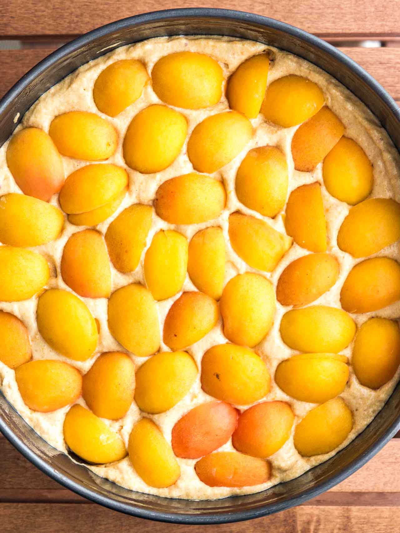 Apricot cake batter topped with apricot halves in a springform before baking.
