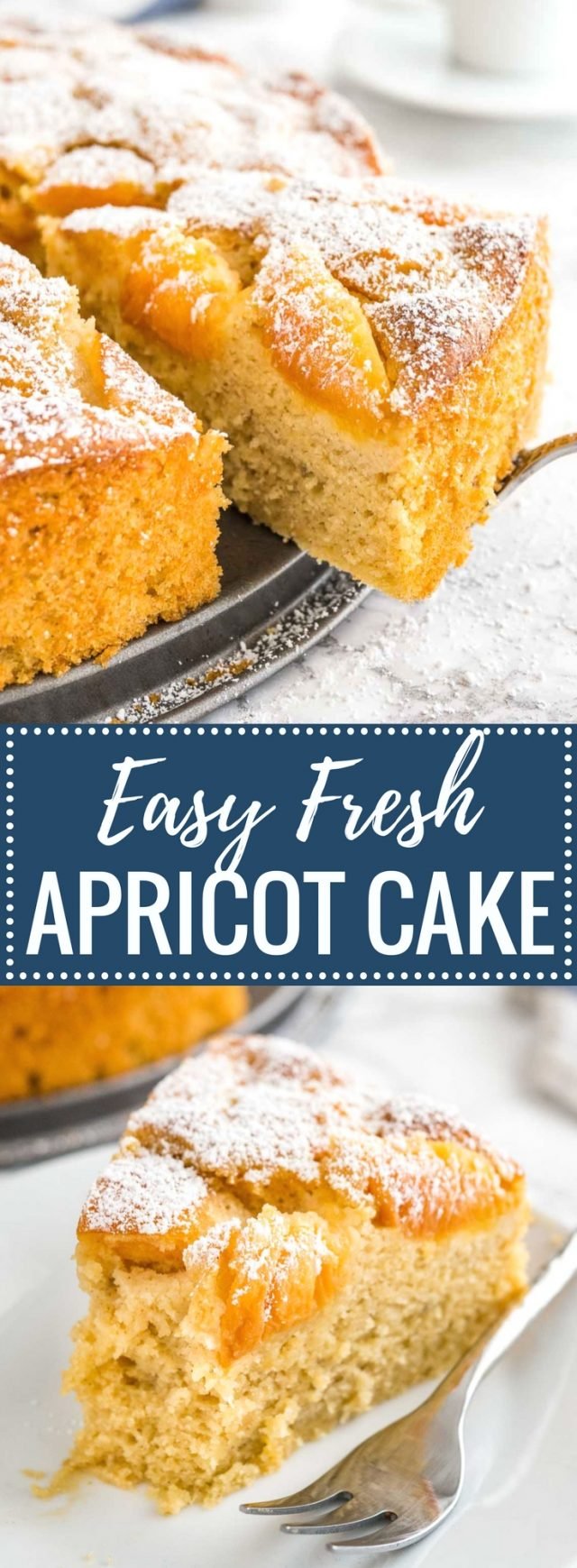 Apricot Cake Recipe with Fresh Apricots | Plated Cravings