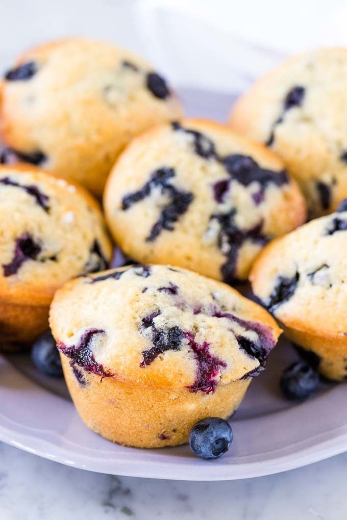 Blueberry Muffins on a purple plate garnished with whole, fresh blueberries