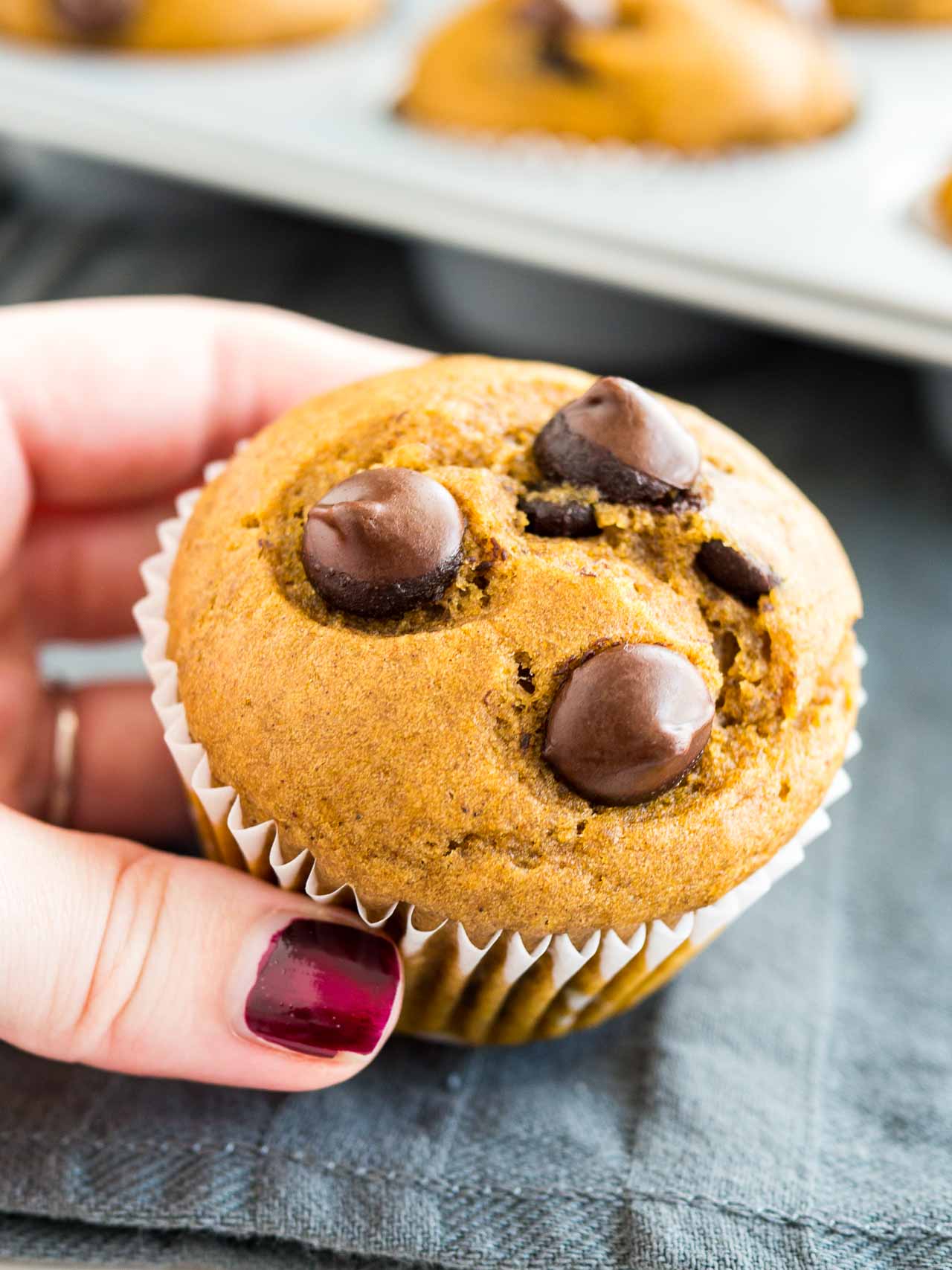 A hand with red nail polish holding up a pumpkin chocolate chip muffin over a grey dishtowel and a grey muffin pan with muffins.