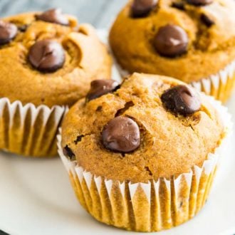 Close-up of pumpkin chocolate chip muffins on a white plate.