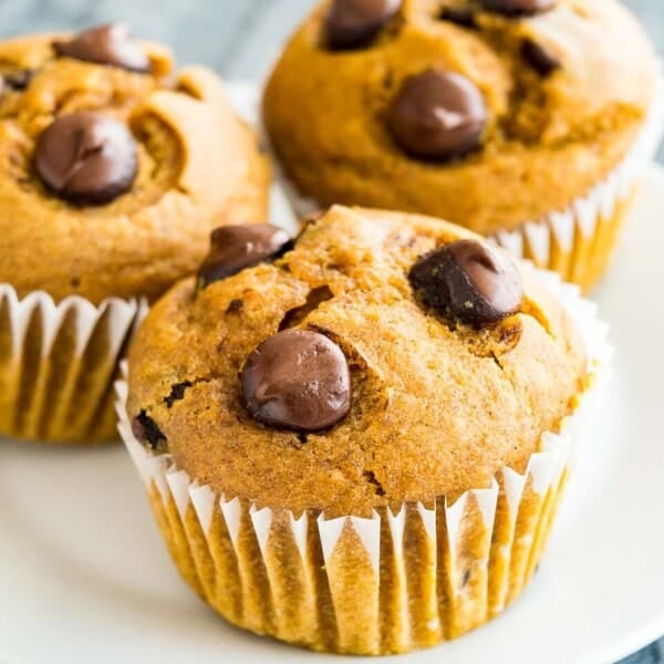 Close-up of pumpkin chocolate chip muffins on a white plate.