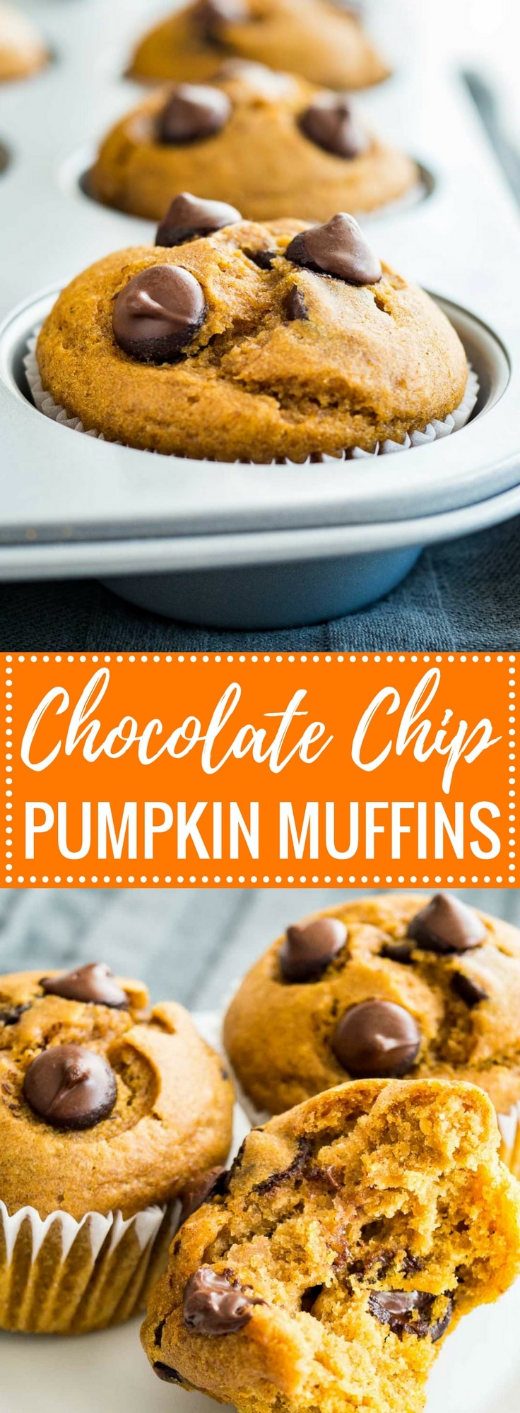 These Pumpkin Chocolate Chip Muffins make a great breakfast, snack, or lunchbox treat! With just the right balance of flavors and loaded with chocolate chips, these easy pumpkin muffins are sure to be a crowd-pleaser.