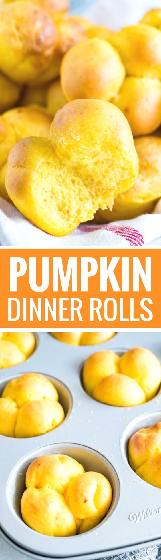 These Pumpkin Dinner Rolls are so soft and fluffy! My go-to fall roll recipe is special enough for Thanksgiving dinner but easy to make, freezer-friendly, and so delicious with just the right amount of pumpkin flavor.