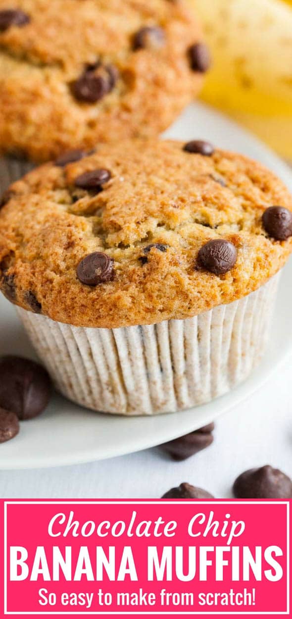 Close-up of a banana chocolate chip muffin on a white plate with some chocolate chips.