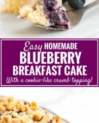 Blueberry Breakfast Cake