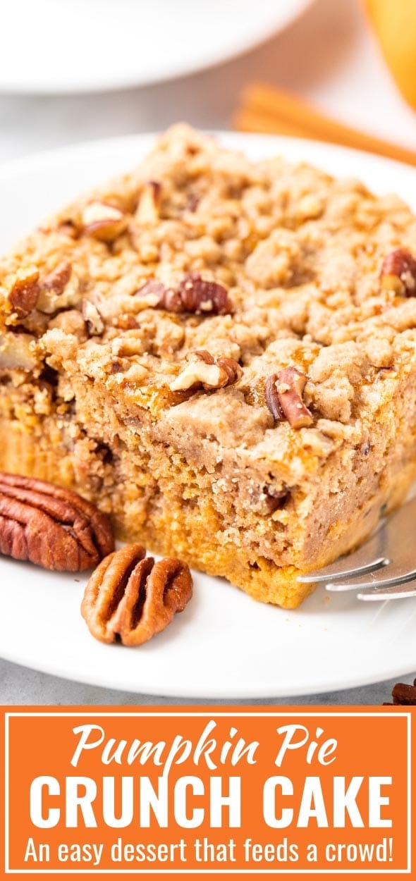 Pumpkin Crunch Cake is the perfect fall dessert for a crowd that can be made in minutes and is a great alternative to traditional pumpkin pie. With minimal effort and just a handful of simple ingredients, you can create an indulgent and flavorful pumpkin dessert that’s perfect for Thanksgiving or any other day! #PumpkinCrunchCake #ThanksgivingDesserts #SheetCake