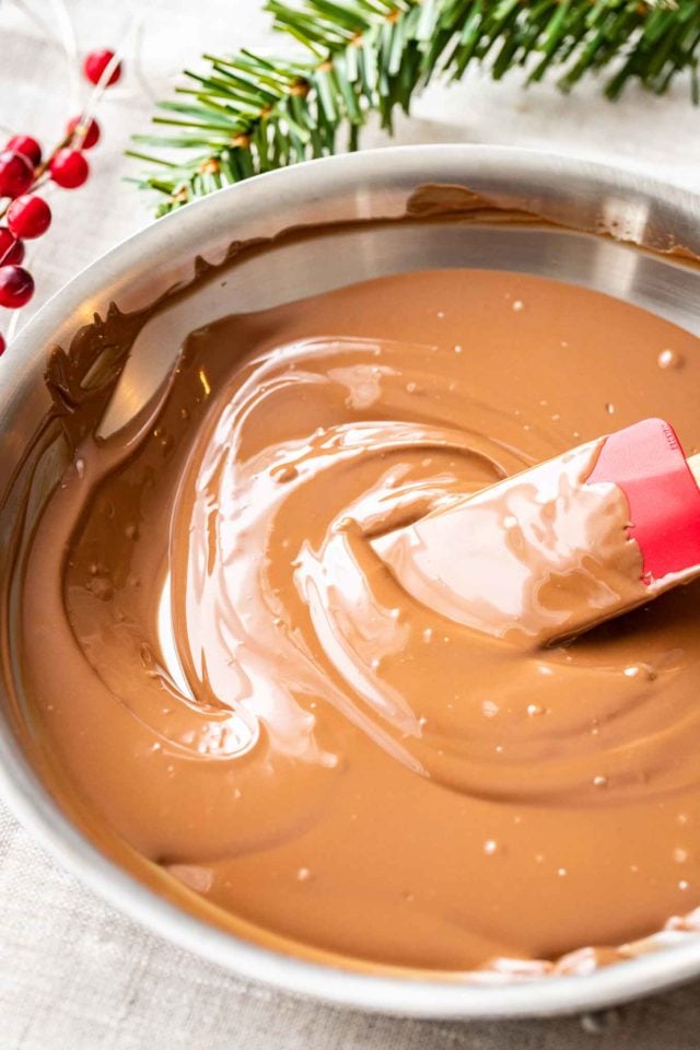 molten chocolate in a stainless stell pan with a red spatula in it. There are cranberries next to the pan.