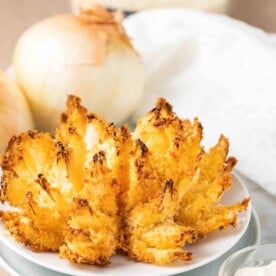 blooming onion on a white plate with onions in the background