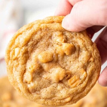 A hand holding a butterscotch cookie