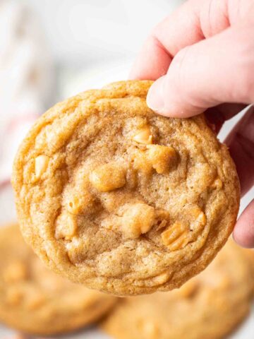 A hand holding a butterscotch cookie