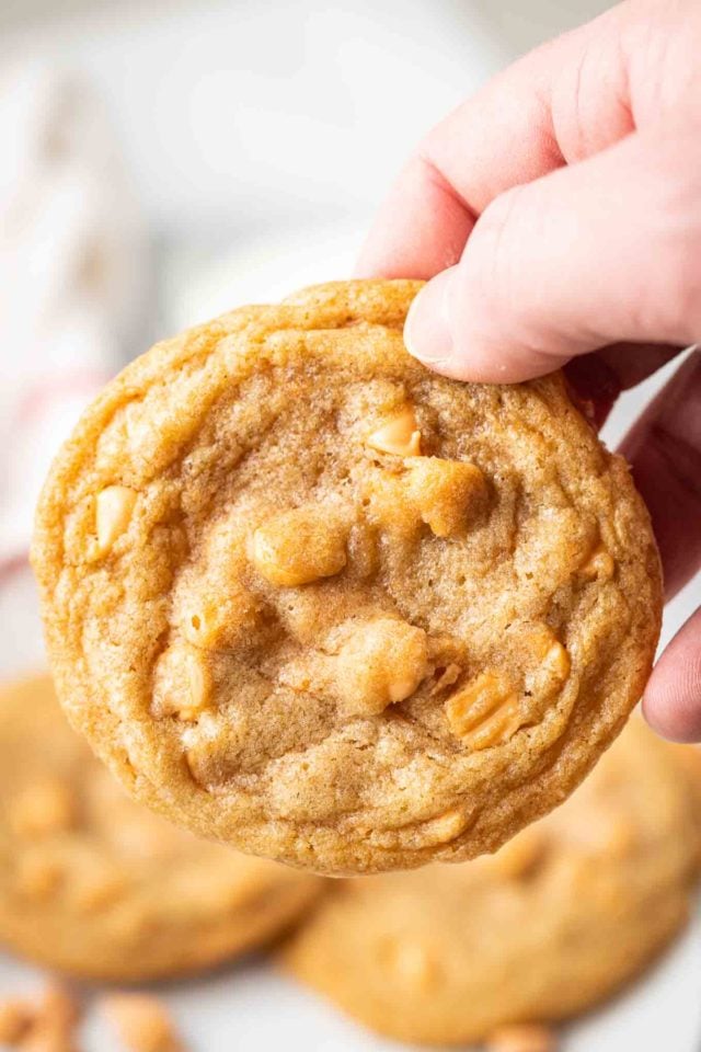 A hand holding a butterscotch cookie