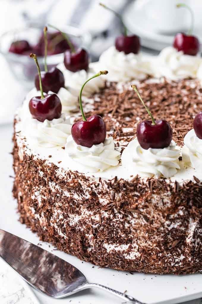 Black Forest Cake. The cake has chocolate shavings on the side and swirls of whipped cream topped with whole cherries on top 