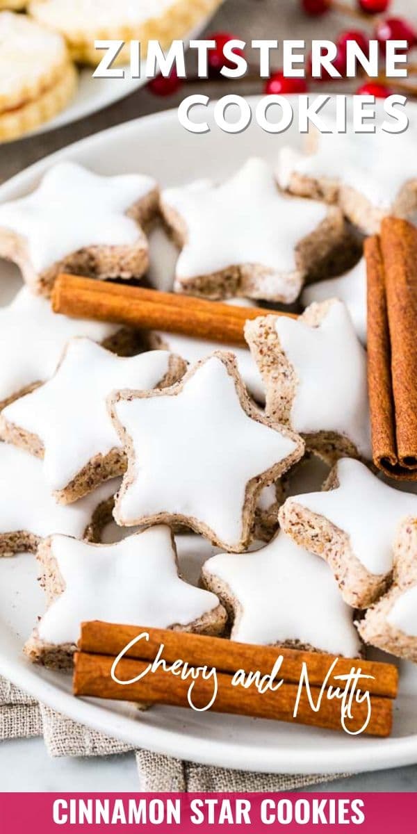 Zimtsterne (German Cinnamon Star Cookies) - Plated Cravings