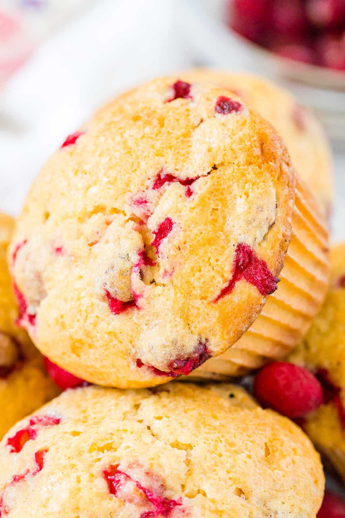 A close up of a muffin speckled with cranberries